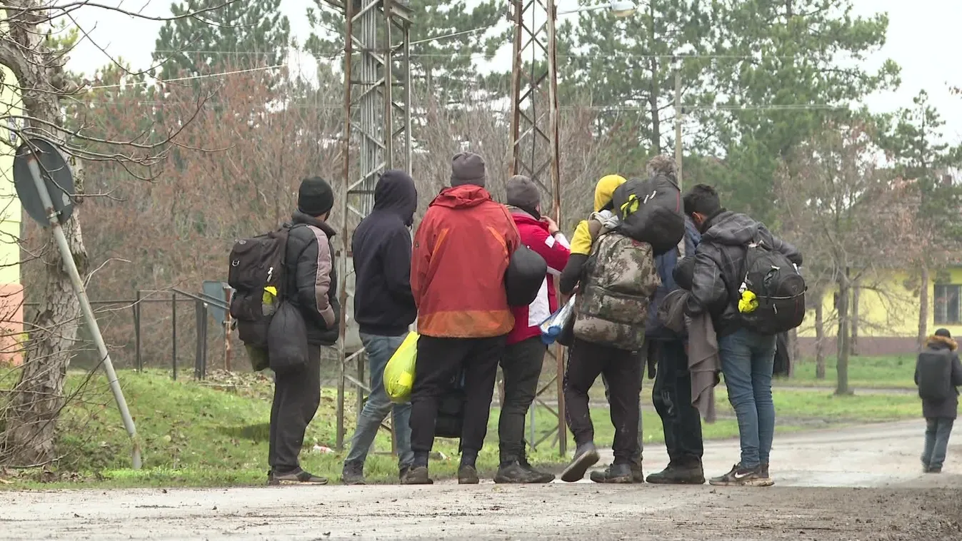 Migránsok lepték el a vajdasági erdőket
