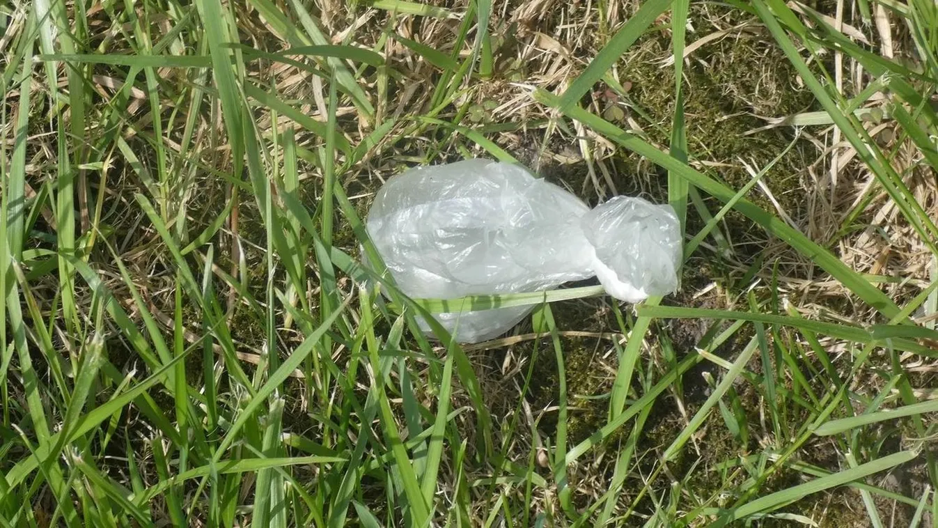 Ez volt a zacskóban, amit egy házaspár dobott ki a kocsiból