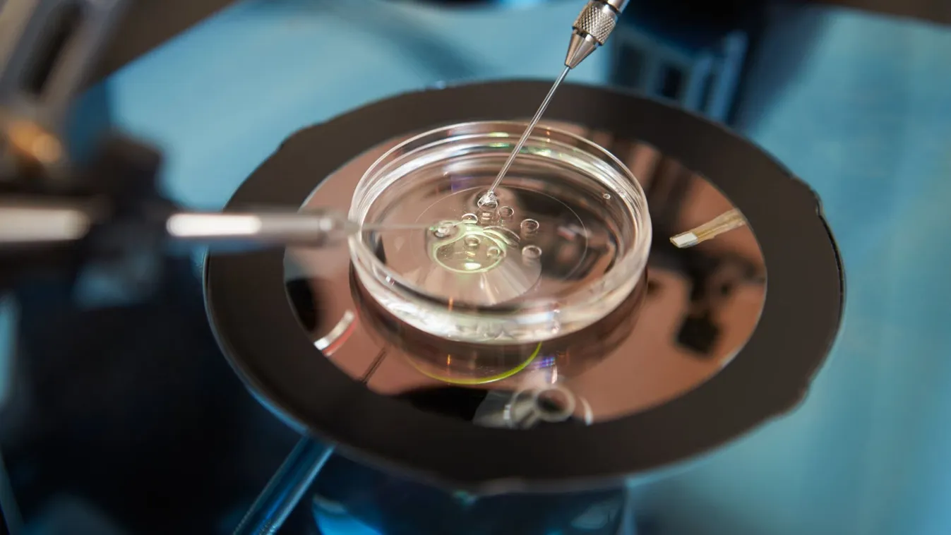 Egy gyerek, három szülő: különleges baba született