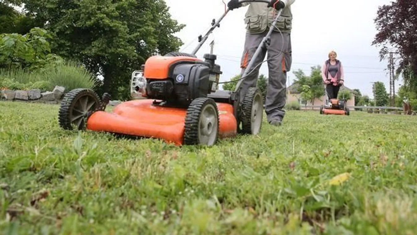 Fűnyírás: kinek, hol kell lenyírnia és lehet-e vasárnap is?