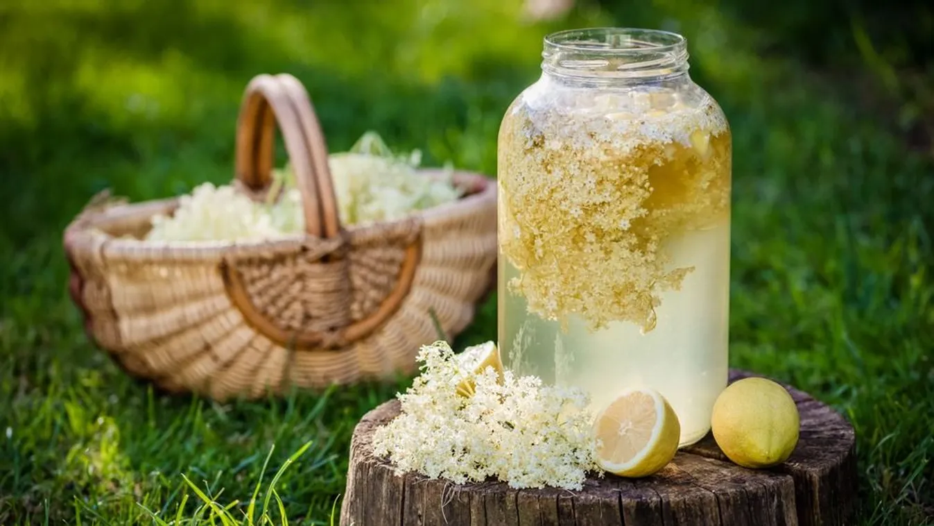 Ezzel a módszerrel lesz a legfinomabb a házi bodzaszörp