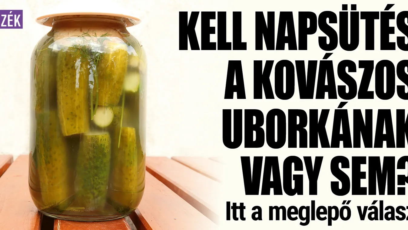 Most akkor kell napsütés a kovászos uborkának vagy sem?