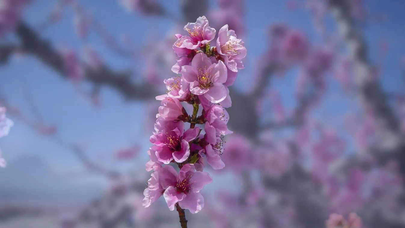 Élvezd ki az utolsó órákat, durva, mit tartogat az időjárás