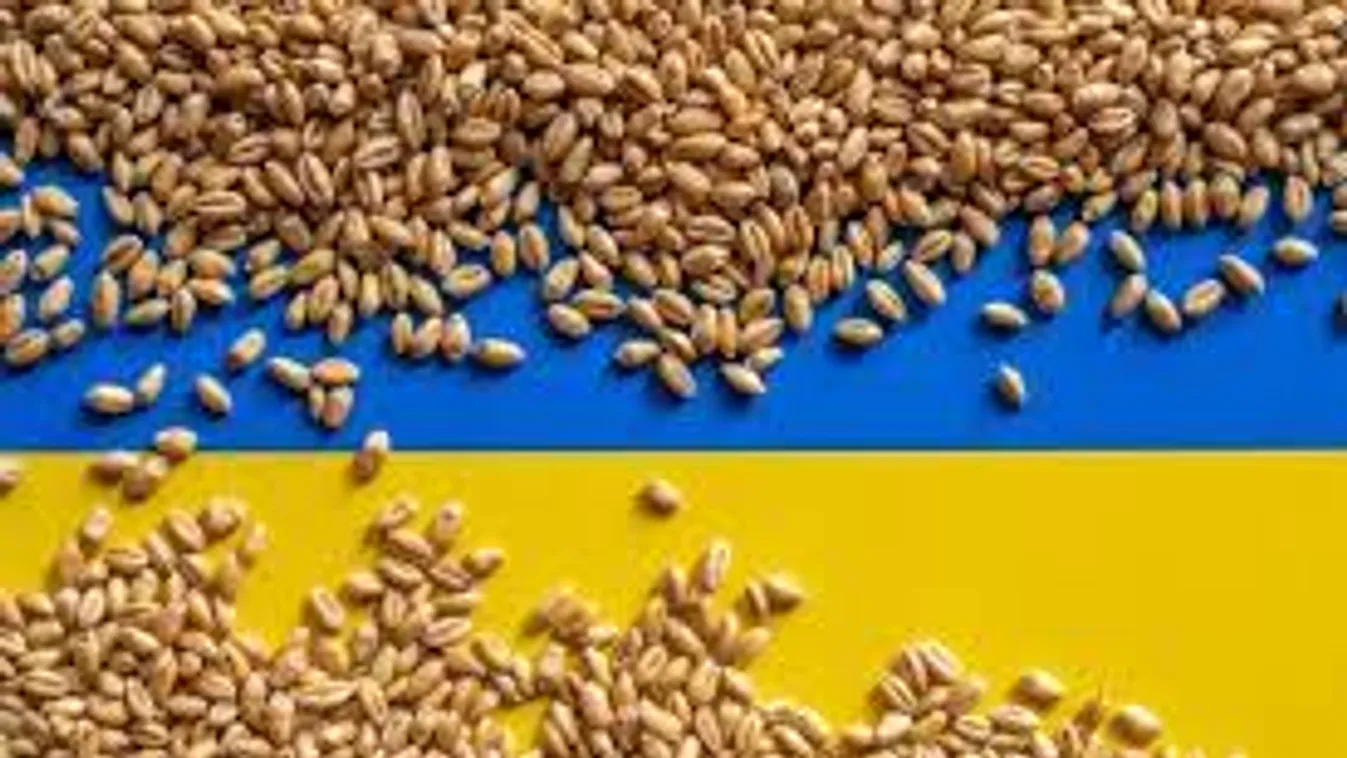 Továbbra is tilos nálunk ukrán gabonát forgalmazni