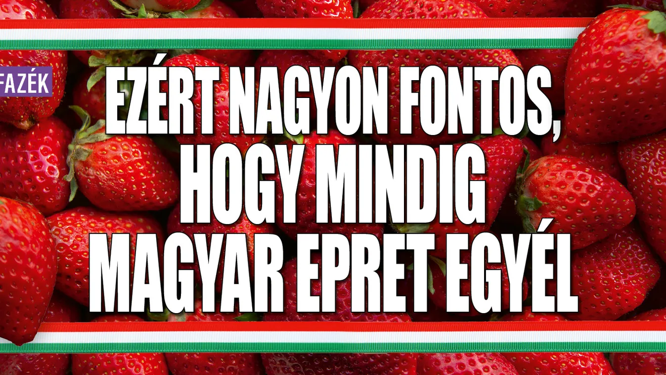 Ezért nagyon fontos, hogy mindig magyar epret egyél