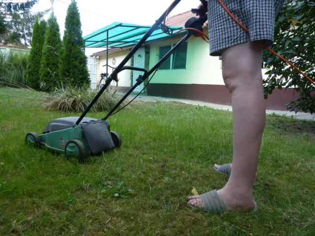 fűnyíró, fűnyírás, elektromos fűnyíró