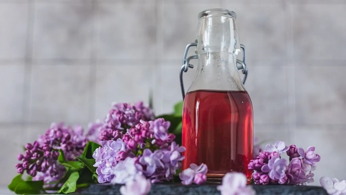 Csodálatos orgona: illatosan és lilán indul a szörpszezon