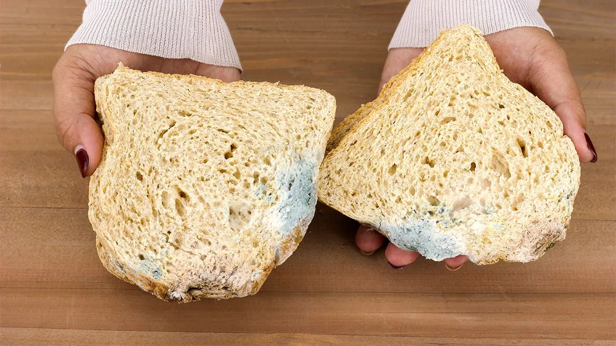 Close-up,Of,Woman,Hand,Holding,Moldy,Bread,On,Wooden,Table