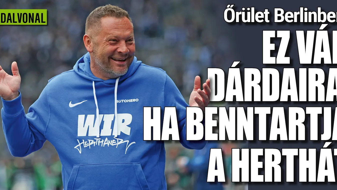 Őrület Berlinben: ez vár Dárdaira, ha benntartja a Herthát