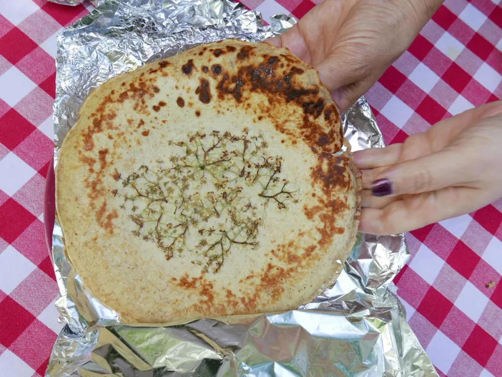 Delicious,Elderflower,Fresh,Picked,From,The,Garden,To,Make,A