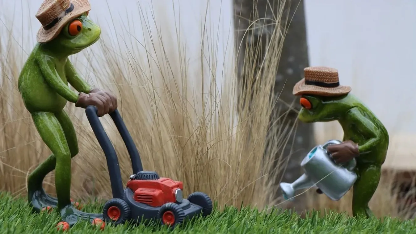 Akkumulátoros fűnyíró vásárlása: fontos szempontok (x)