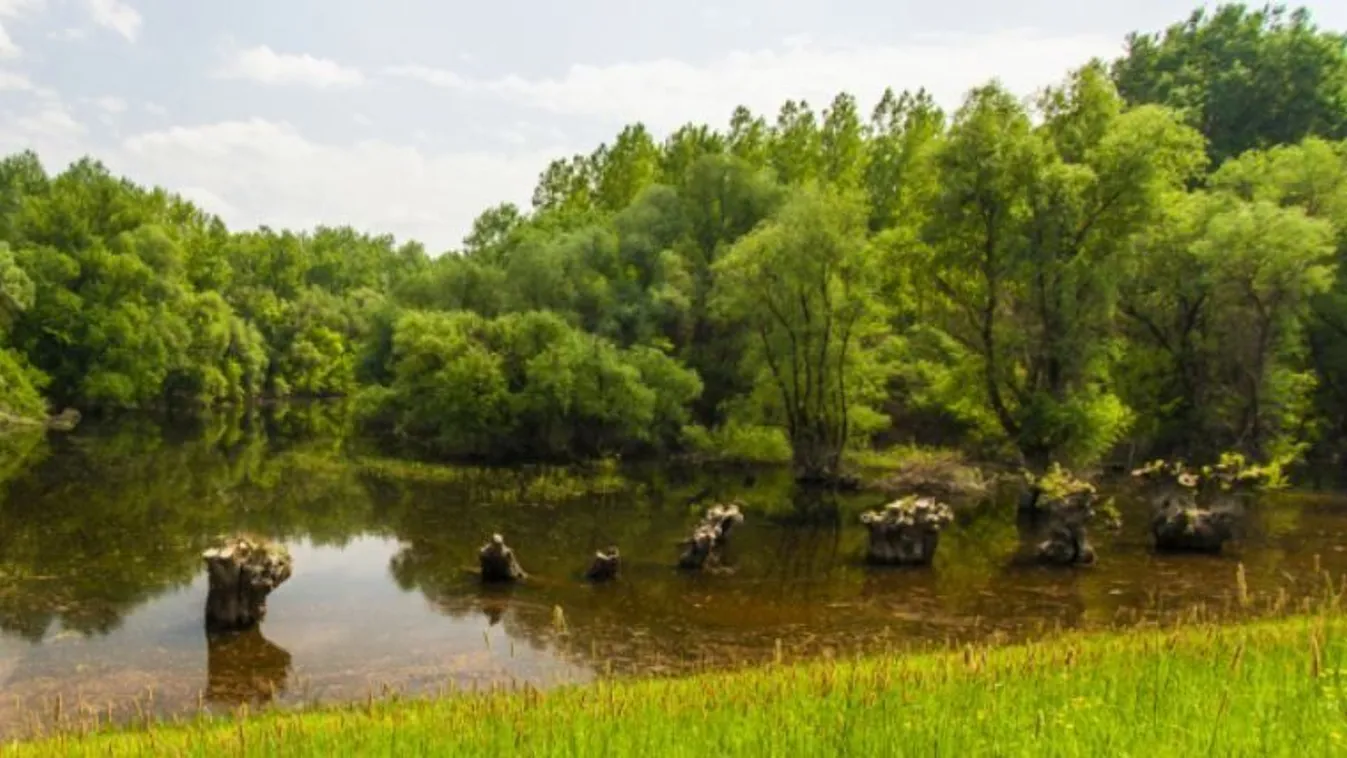 Rossz hír érkezett: máris be kell vetni a katasztrófavédőket