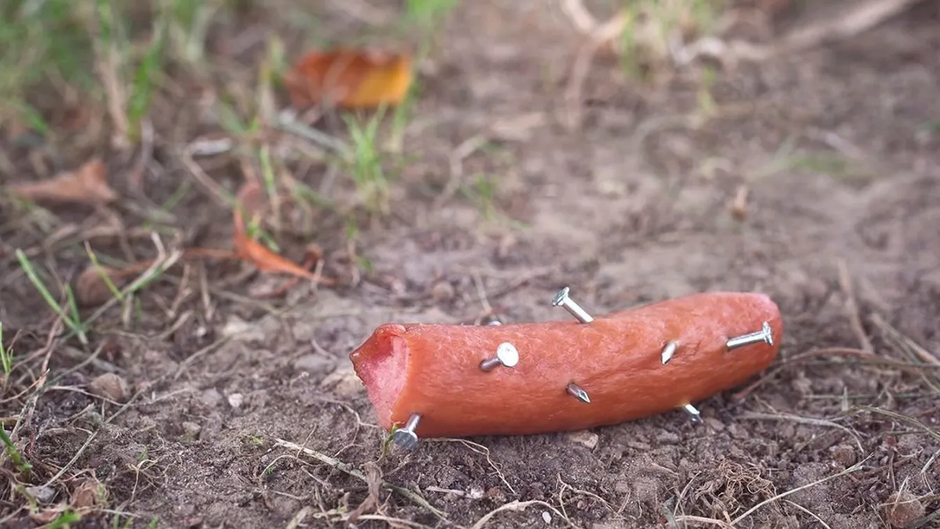 Mérgezik a kutyákat a XVIII. kerületben