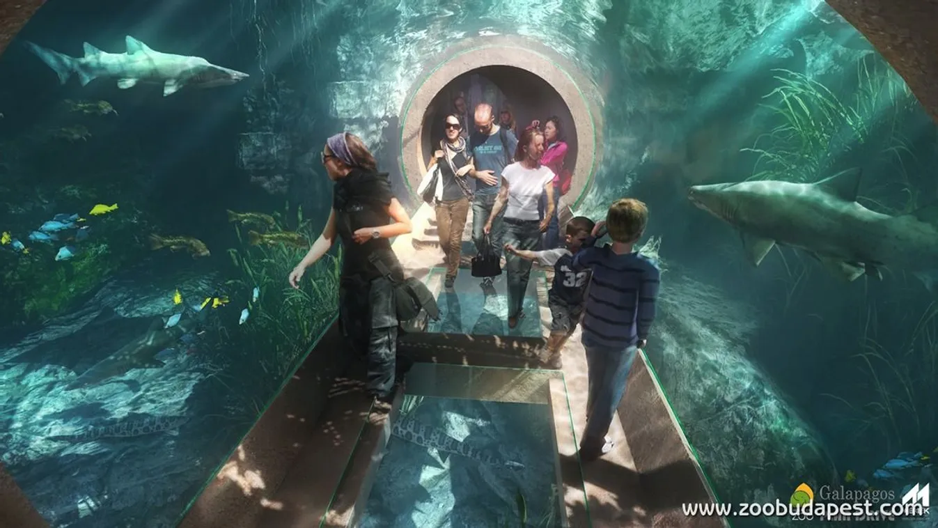 Biodóm: a felelőtlen gazdálkodás vezetett patthelyzethez