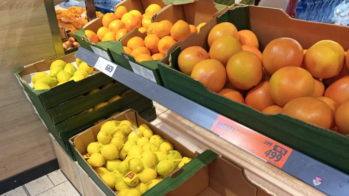 Lidl, a kötelező akciózás előtti nap, 