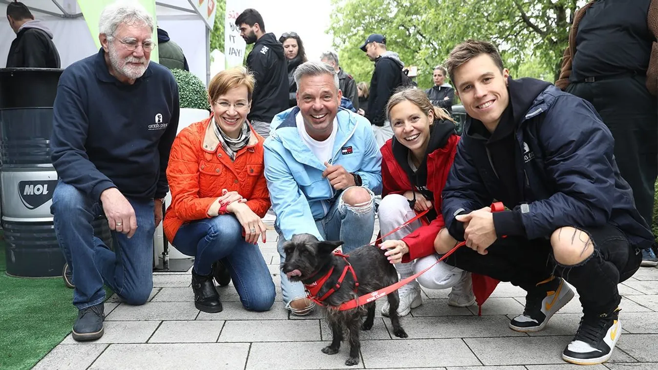 Sztársportolók segítik a kutyusok örökbeadását