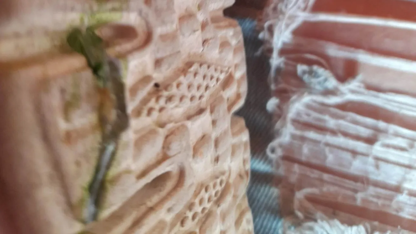 Sörösüveg szilánkjai vágták szét egy 8 éves kislány talpát