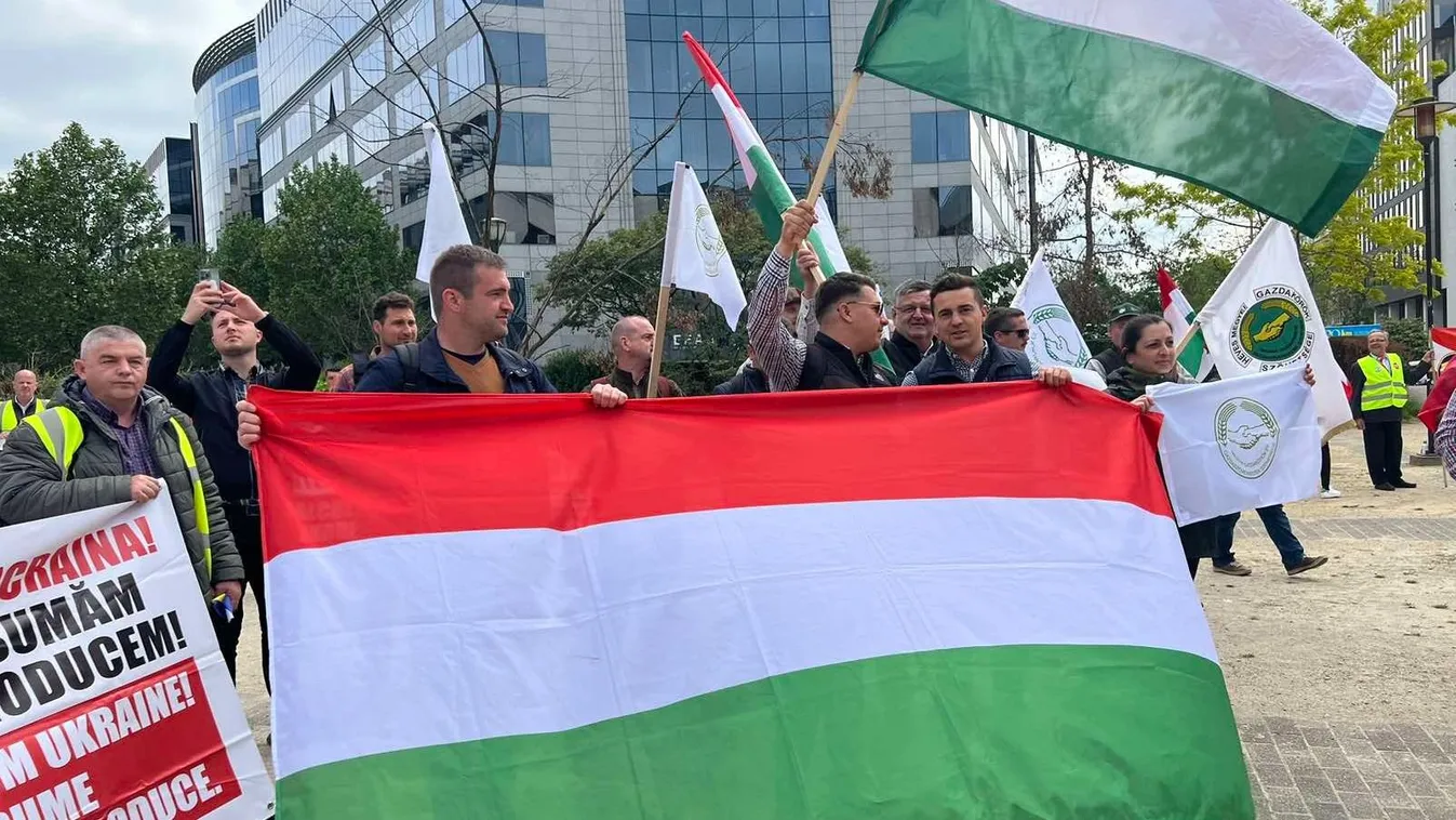 Brüsszelben tüntettek a magyar gazdák!