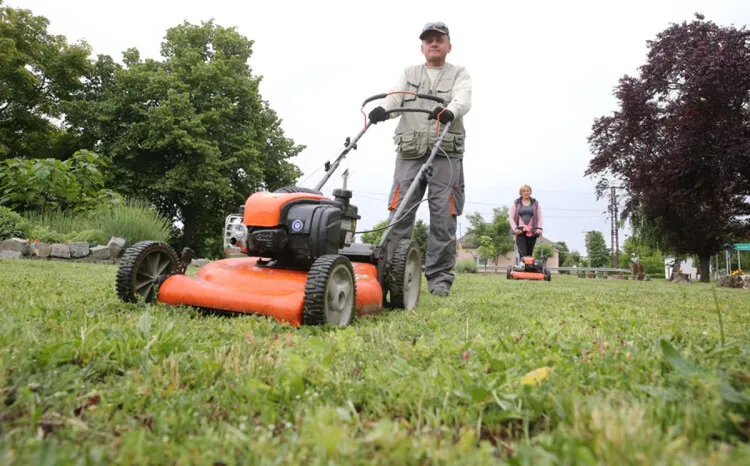 fűnyíró, fűnyírás
