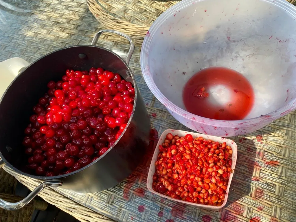 Pitted,Cherries,In,A,Pot,,Bowl,Of,Seeds,And,A