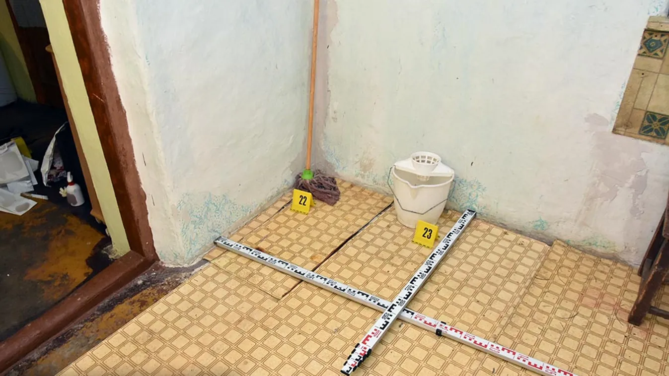 Feltakarította a nyomokat Levente, miután megölte az anyját