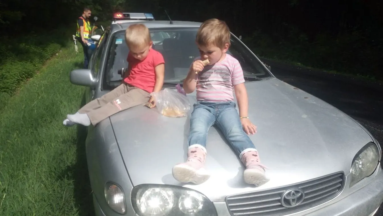 Előzni akart a sofőr, de cserbenhagyásos balesetet okozott