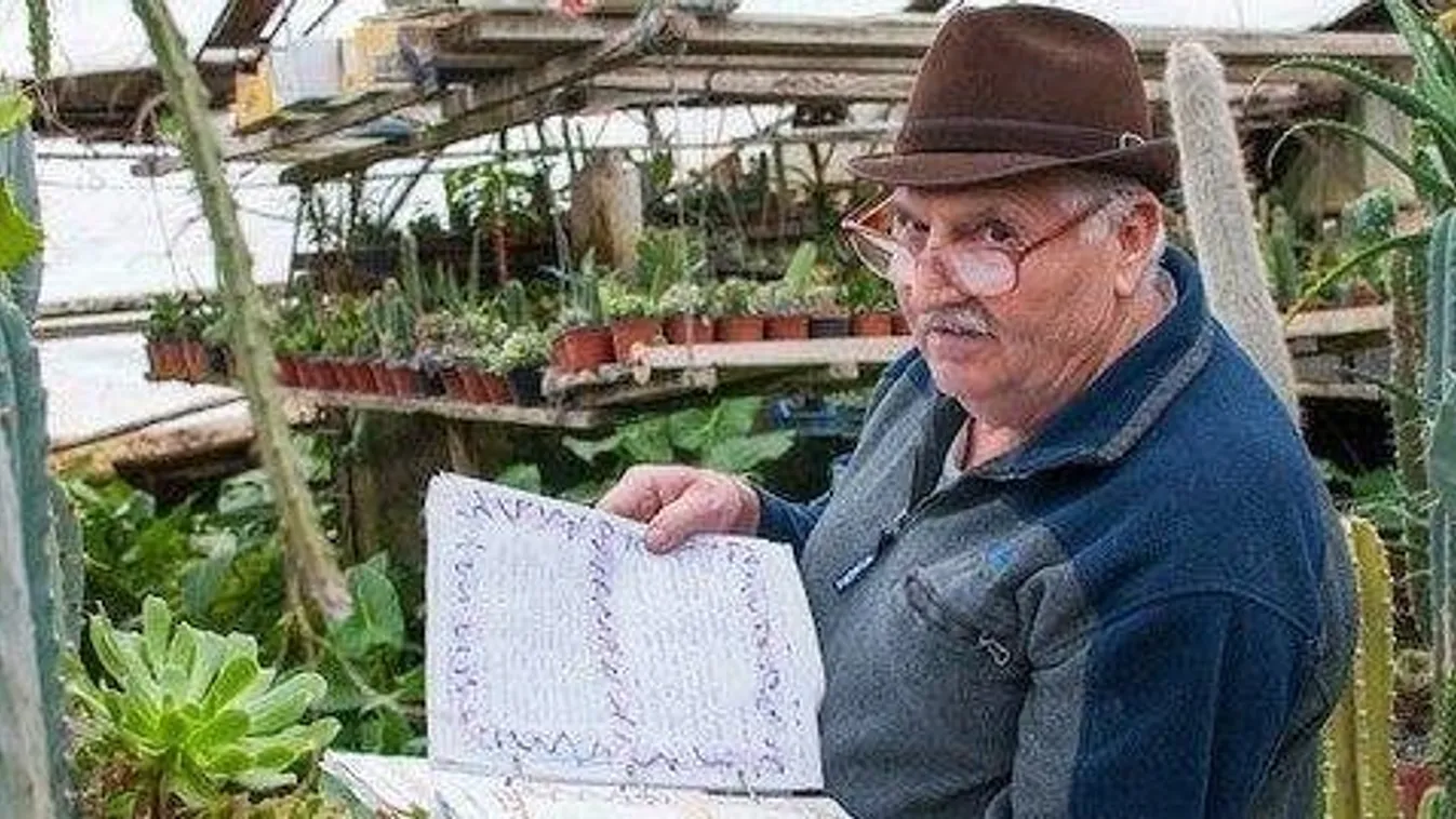 Új gazdát keres az ország legnagyobb kaktuszgyűjteménye