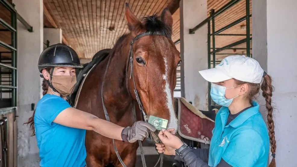 cafeteria, lovaglás, béren kívüli juttatás, SZÉP-kártya