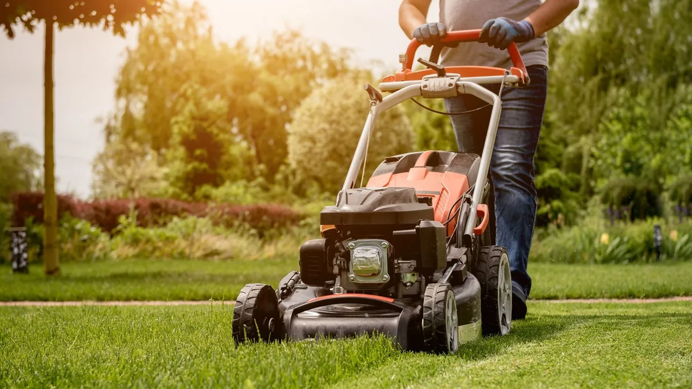 Álmod a tökéletes pázsit? Ezekkel az eszközökkel könnyen elérheted! (x)