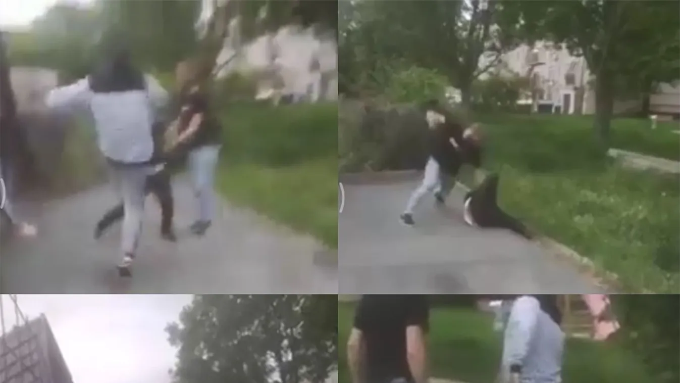 Megszólalt a Szekszárdon brutálisan bántalmazott fiú