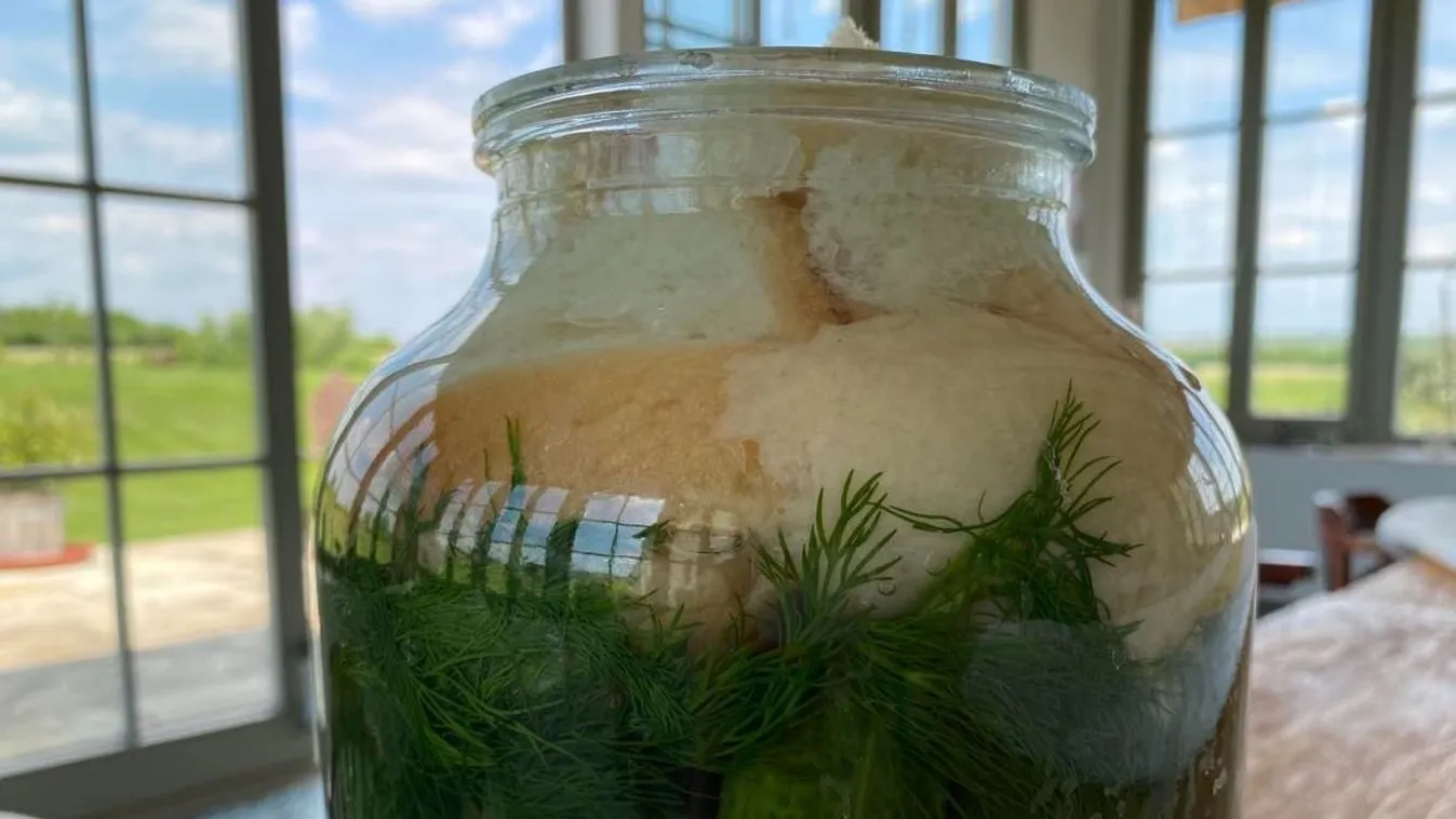 A kovászos uborka leve aranyat ér, erre használhatod