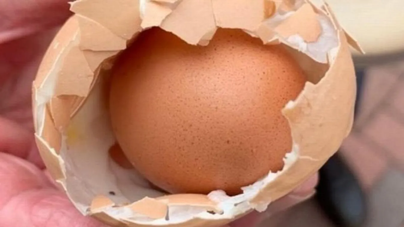 Nem Kinder tojás volt, mégis meglepetés került belőle elő
