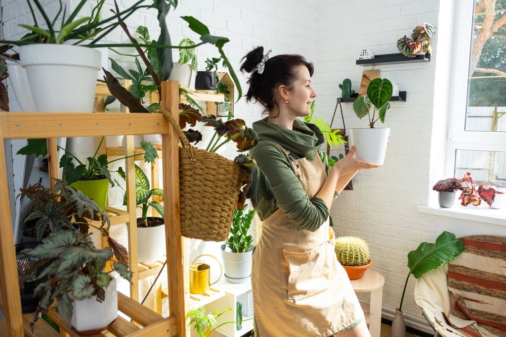 Woman,Plant,Breeder,Examines,And,Admires,Home,Plants,In,A