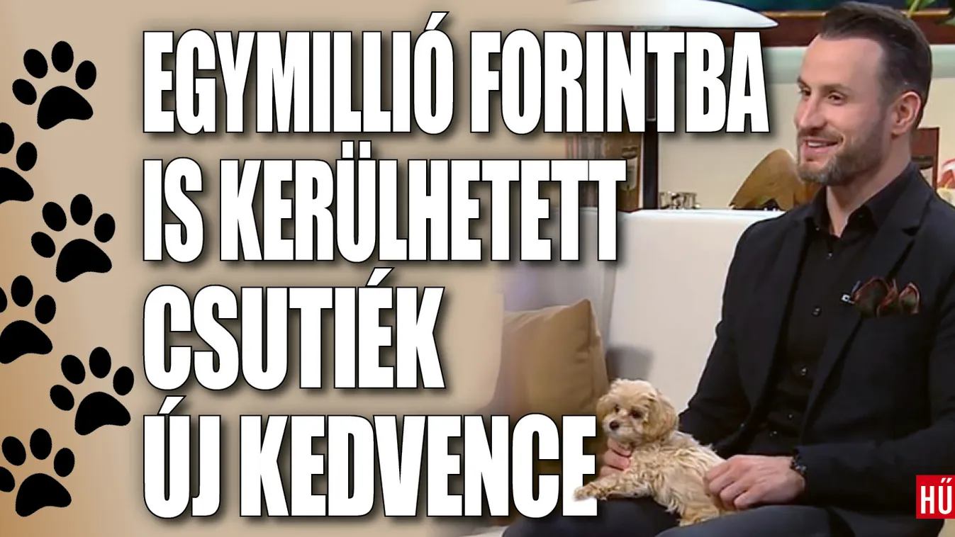 Kiderült, mennyibe került Csuti és párja kutyája