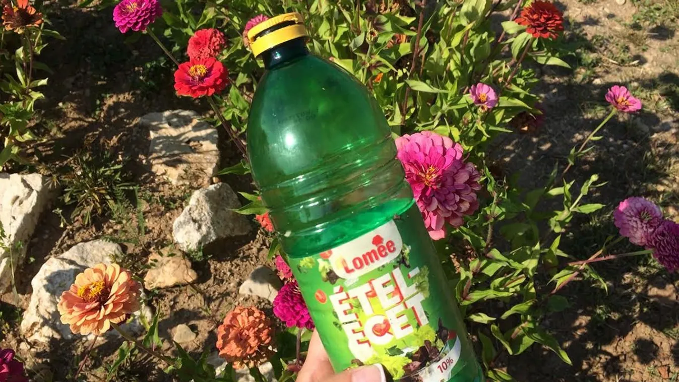 Önts ecetet a kertedbe és csodát látsz