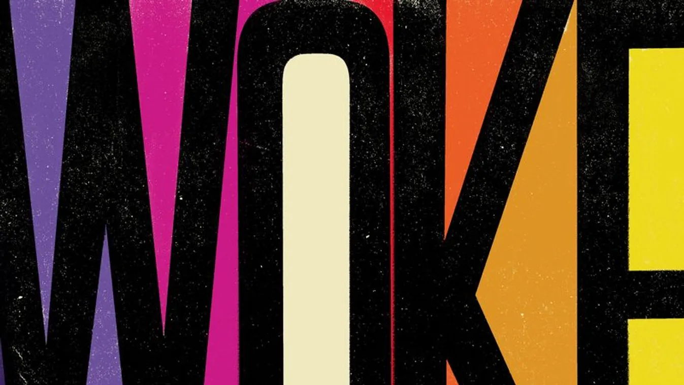 Megvesztek a liberális aktivisták