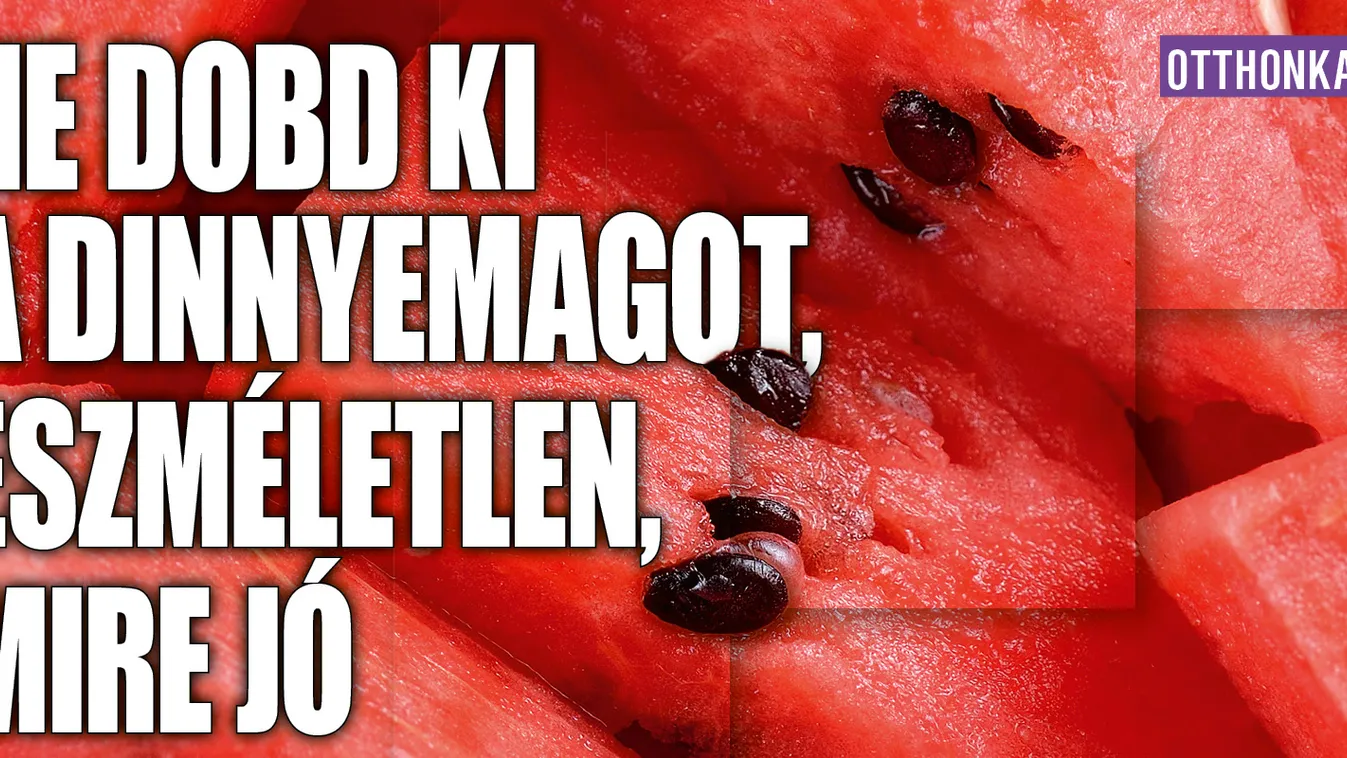 Ne dobd ki a dinnyemagot, eszméletlen, mire jó!