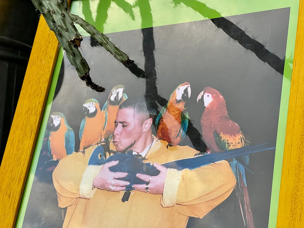 lang györgyi megemlékezés állatkert