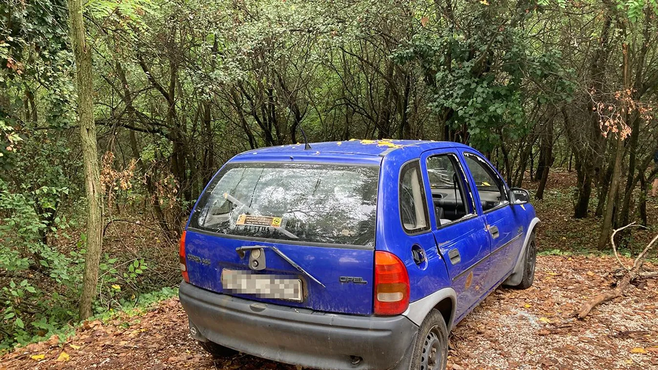 "Én találtam rá a fiam és a barátnője holttestére!"