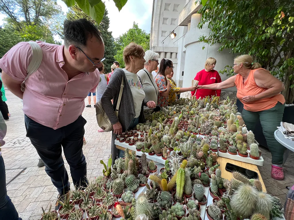 lang györgyi megemlékezés állatkert