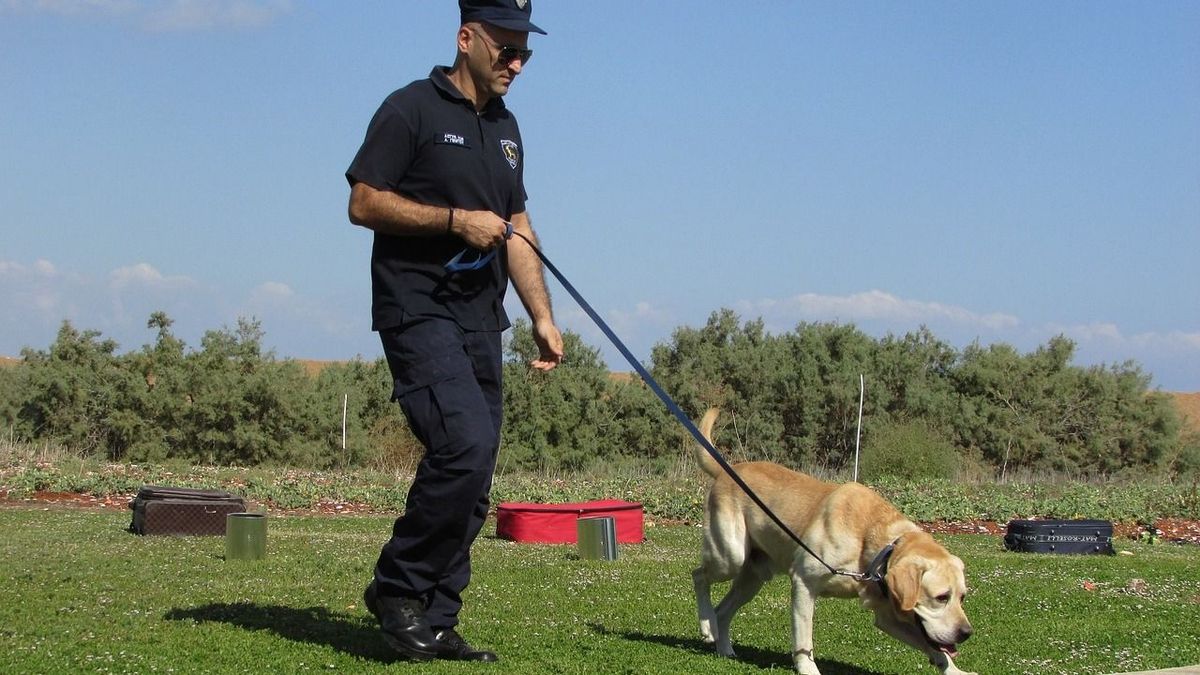 Rossz gyereket raboltak el? A kis Kata után kutat az egész ország