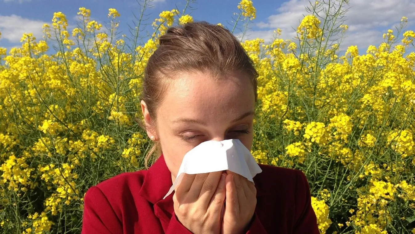 Pollentérkép: Magyarország kétharmada már elesett