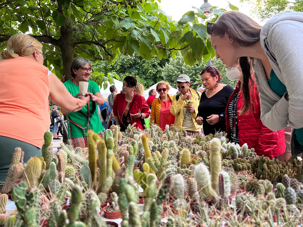 lang györgyi megemlékezés állatkert