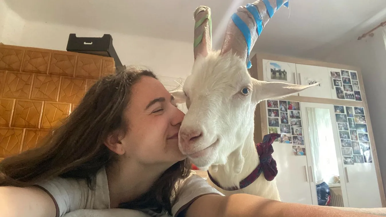 Egy ágyban alszik kecskéjével Rózsa