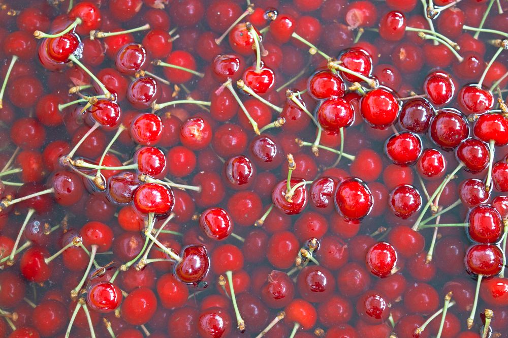 Red,Berries,Of,A,Cherry,Soak,In,Water.,Wash,Ripe