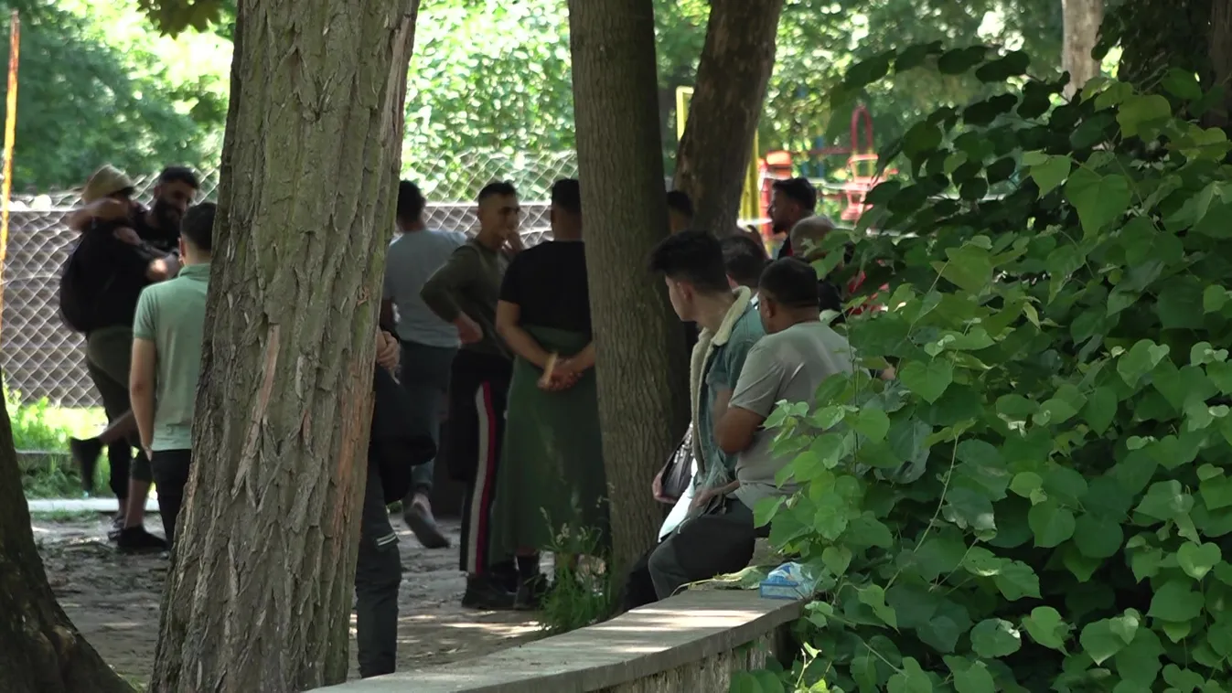 Városrészeket foglalnak el a migránsok a vajdaságban – videó