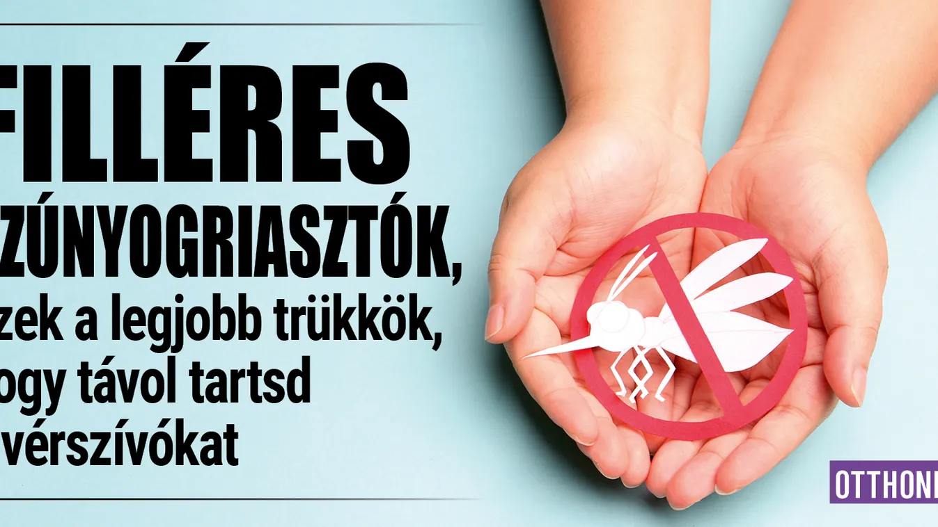 Filléres szúnyogriasztók: a legjobb trükkök vérszívók ellen