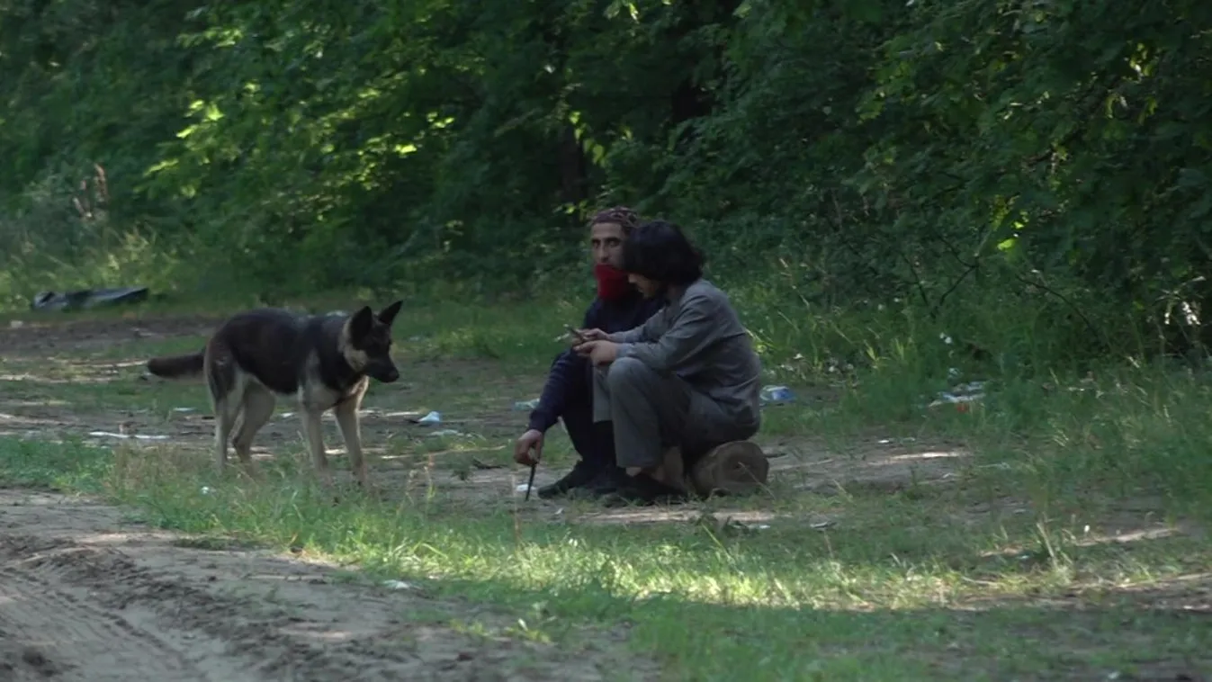 Migránsok támadtak a vajdasági tévésekre - Videó