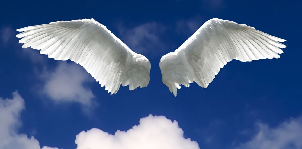 Angel,Wings,With,Background,Made,Of,Sky,And,Clouds.
