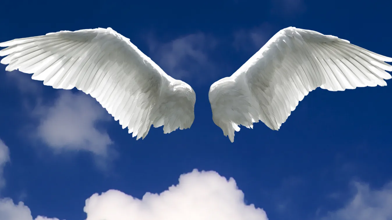 Most kérj, az angyalok segítenek!